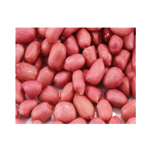 Organic Groundnut Raw Peanut Kernel 38/4 Count Hand Picked Carefully Cultivated Dried Kernels for Sale